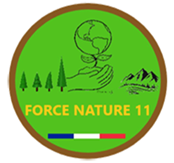 FORCE NATURE 11